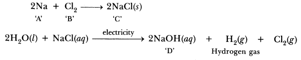 ncert-exemplar-class-10-science-chapter-3-metals-and-non-metals-7