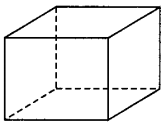 ncert-exemplar-problems-class-8-mathematics-visualising-solid-shapes-18