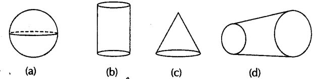 ncert-exemplar-problems-class-8-mathematics-visualising-solid-shapes-10