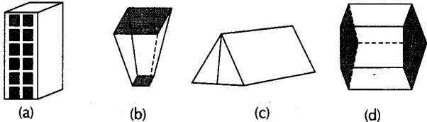 ncert-exemplar-problems-class-8-mathematics-visualising-solid-shapes-8