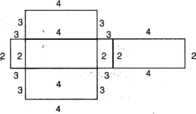 ncert-exemplar-problems-class-8-mathematics-visualising-solid-shapes-81