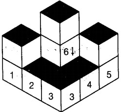ncert-exemplar-problems-class-8-mathematics-visualising-solid-shapes-90