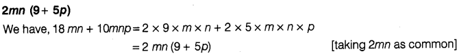 ncert-exemplar-problems-class-8-mathematics-algebraic-expressions-identities-and-factorisation-16