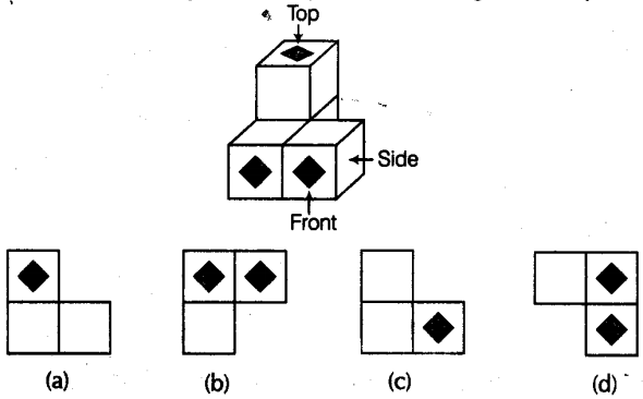 ncert-exemplar-problems-class-8-mathematics-visualising-solid-shapes-3