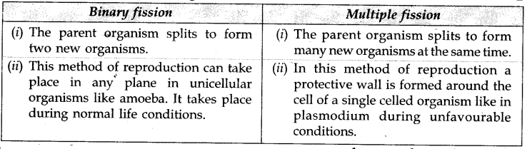 cbse-previous-year-question-papers-class-10-science-sa2-delhi-2011-3