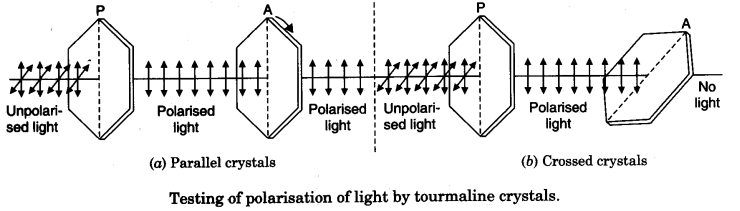 to-observe-polarisation-of-light-using-two-polaroids-2