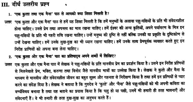 ncert-solutions-class-9th-hindi-chapter-8-ak-kutta-or-ak-maina-23