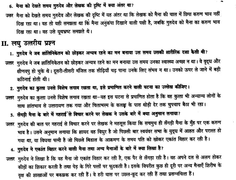 ncert-solutions-class-9th-hindi-chapter-8-ak-kutta-or-ak-maina-22
