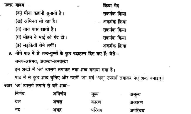 ncert-solutions-class-9th-hindi-chapter-8-ak-kutta-or-ak-maina-19