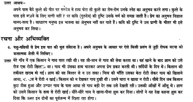 ncert-solutions-class-9th-hindi-chapter-8-ak-kutta-or-ak-maina-17