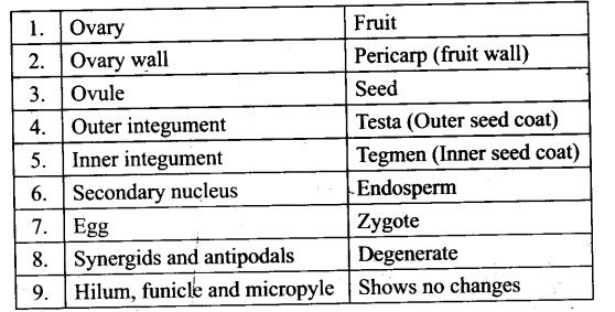 ncert-exemplar-problems-class-12-biology-reproduction-in-organisms-6