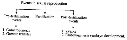 ncert-exemplar-problems-class-12-biology-reproduction-in-organisms-1