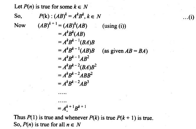 ncert-exemplar-problems-class-12-mathematics-matrices-53