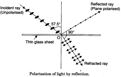 to-observe-polarisation-of-light-using-two-polaroids-1