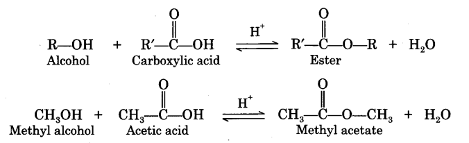 Сложные эфиры тест с ответами. Organic acids. Карбамидная функциональная группа. Естер Гомон. Boron acid with Organic acid.