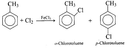 ncert-exemplar-problems-class-12-chemistry-haloalkanes-and-haloarenes-59
