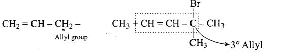 ncert-exemplar-problems-class-12-chemistry-haloalkanes-and-haloarenes-16