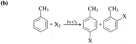ncert-exemplar-problems-class-12-chemistry-haloalkanes-and-haloarenes-6