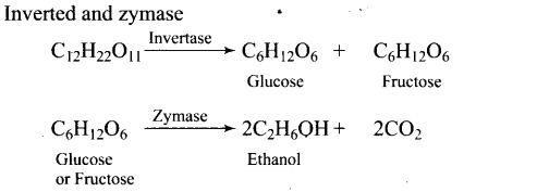ncert-exemplar-problems-class-12-chemistry-alcohols-phenols-ethers-36