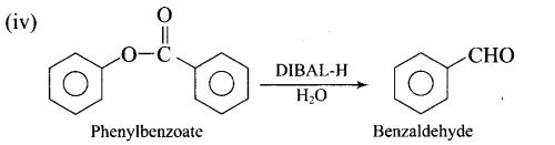 ncert-exemplar-problems-class-12-chemistry-aldehydes-ketones-and-carboxylic-acids-55