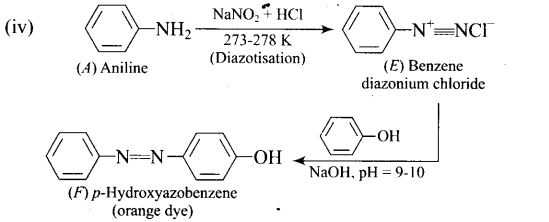 ncert-exemplar-problems-class-12-chemistry-amines-79