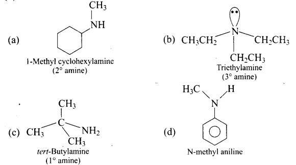 ncert-exemplar-problems-class-12-chemistry-amines-1