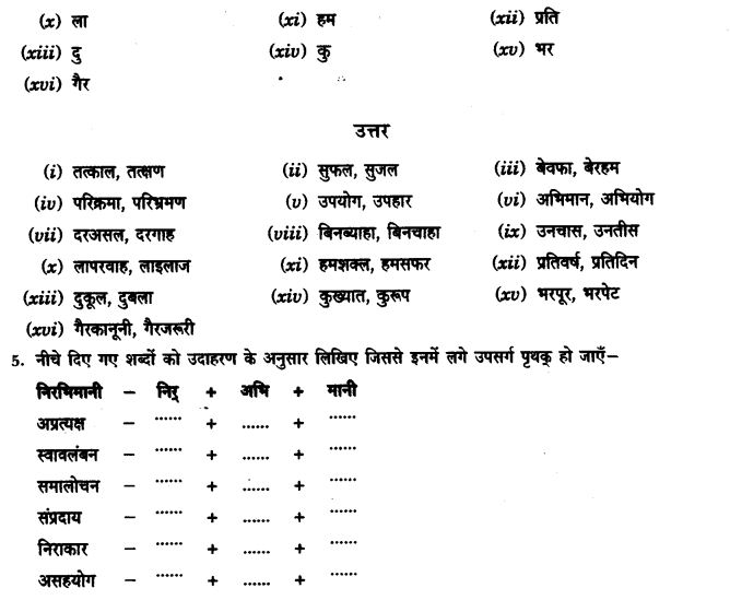 ncert-solutions-class-9th-hindi-chapter-1-upasarg-8