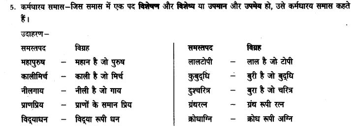 ncert-solutions-class-9th-hindi-chapter-3-samas-5