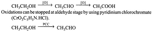 ncert-exemplar-problems-class-12-chemistry-alcohols-phenols-ethers-4