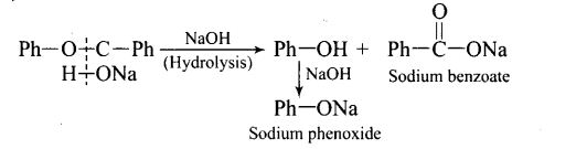 ncert-exemplar-problems-class-12-chemistry-aldehydes-ketones-and-carboxylic-acids-23