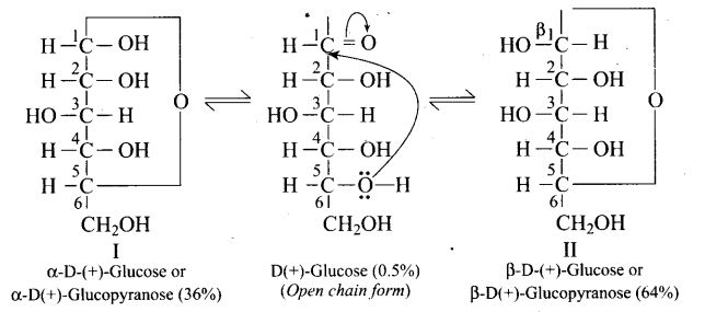 ncert-exemplar-problems-class-12-chemistry-biomolecules-41
