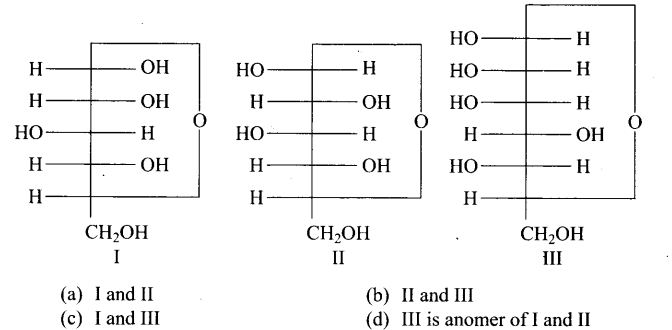 ncert-exemplar-problems-class-12-chemistry-biomolecules-9