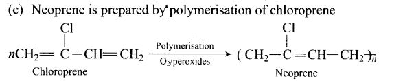 ncert-exemplar-problems-class-12-chemistry-polymers-13