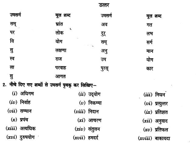 ncert-solutions-class-9th-hindi-chapter-1-upasarg-5