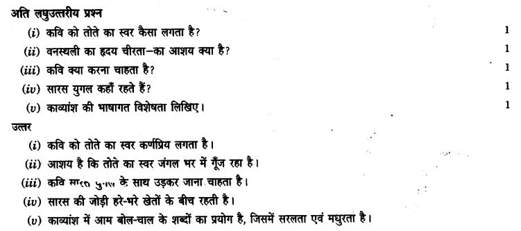 ncert-solutions-class-9th-hindi-chapter-14-chandr-gahana-se-lotati-ber-17