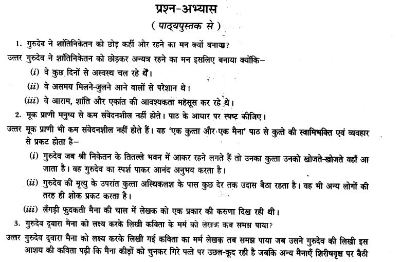 ncert-solutions-class-9th-hindi-chapter-8-ak-kutta-or-ak-maina-15
