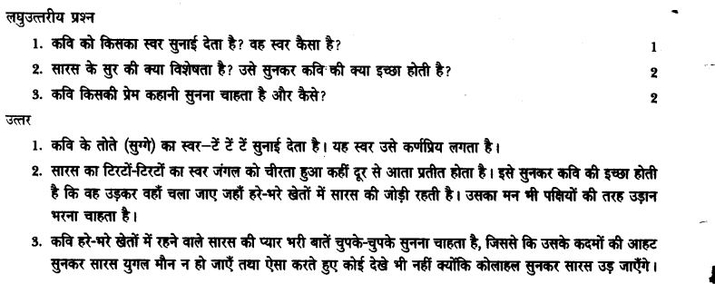 ncert-solutions-class-9th-hindi-chapter-14-chandr-gahana-se-lotati-ber-18
