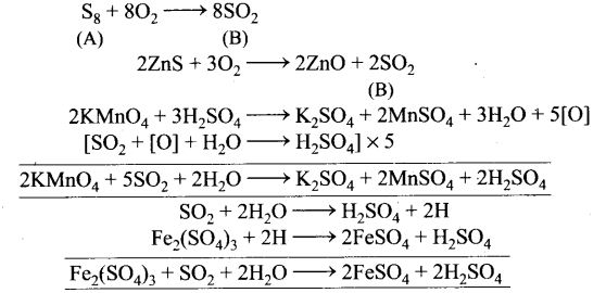 ncert-exemplar-problems-class-12-chemistry-p-block-elements-55