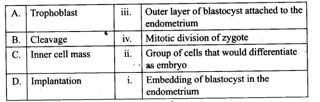 ncert-exemplar-problems-class-12-biology-human-reproduction-5