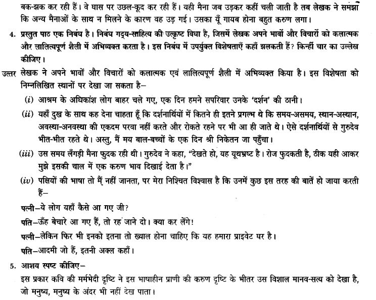 ncert-solutions-class-9th-hindi-chapter-8-ak-kutta-or-ak-maina-16