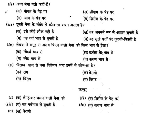 ncert-solutions-class-9th-hindi-chapter-8-ak-kutta-or-ak-maina-14