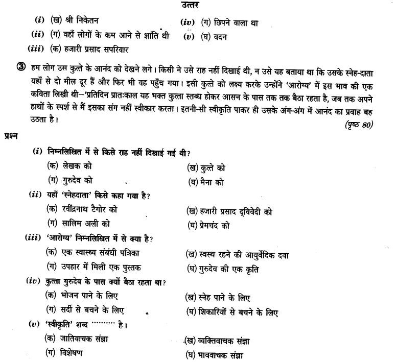 ncert-solutions-class-9th-hindi-chapter-8-ak-kutta-or-ak-maina-10