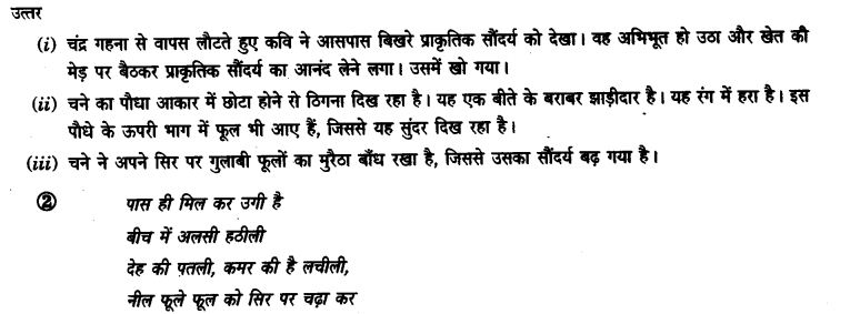ncert-solutions-class-9th-hindi-chapter-14-chandr-gahana-se-lotati-ber-3