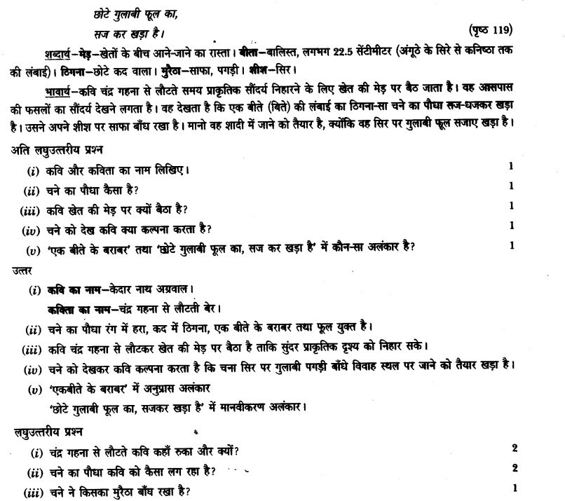 ncert-solutions-class-9th-hindi-chapter-14-chandr-gahana-se-lotati-ber-2
