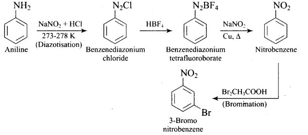 ncert-exemplar-problems-class-12-chemistry-amines-67