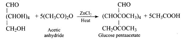 ncert-exemplar-problems-class-12-chemistry-biomolecules-25