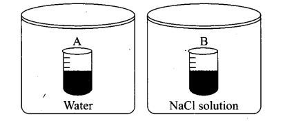 ncert-exemplar-problems-class-12-chemistry-solution-8