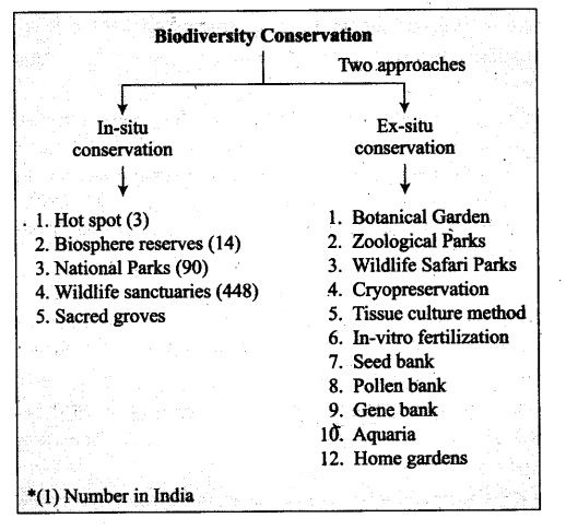 ncert-exemplar-problems-class-12-biology-biodiversity-conservation-5