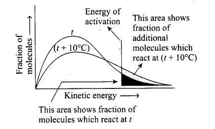 ncert-exemplar-problems-class-12-chemistry-chemical-kinetics-28