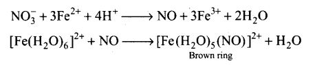 ncert-exemplar-problems-class-12-chemistry-p-block-elements-11